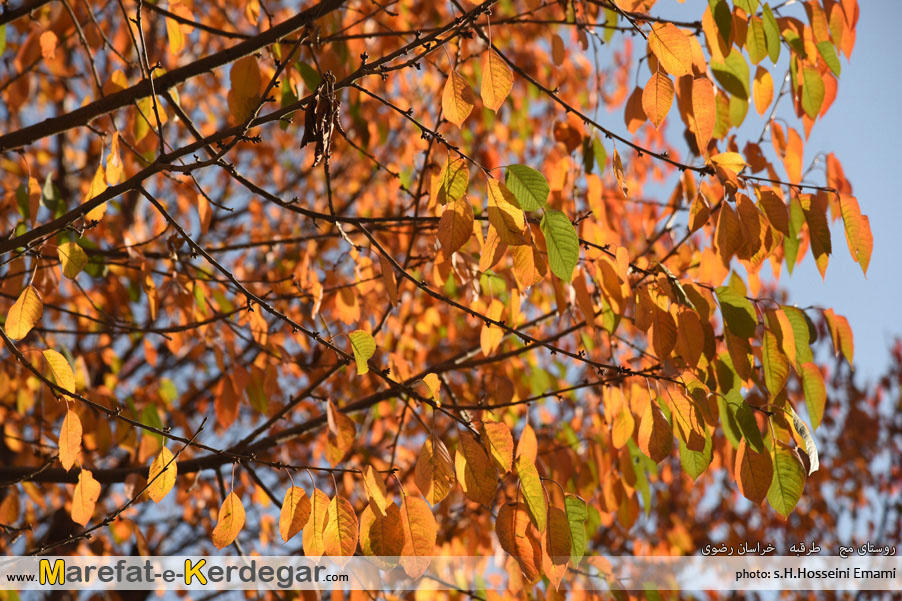 پاییز خراسان پاییز خراسان