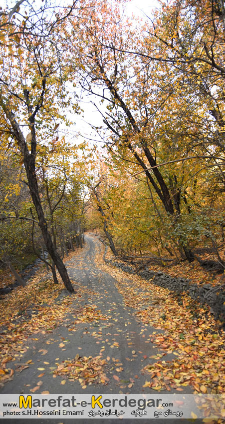 پاییز روستای مج