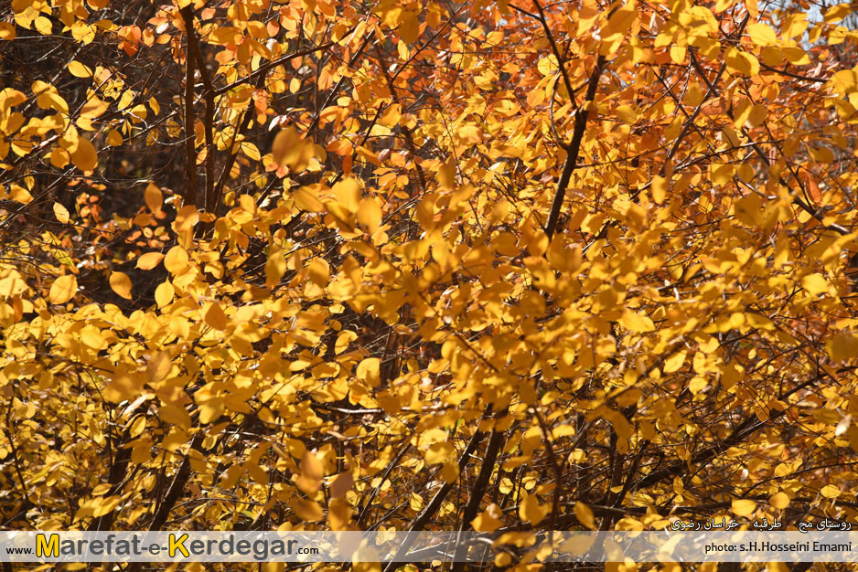 اماکن گردشگری خراسان رضوی اماکن گردشگری خراسان رضوی