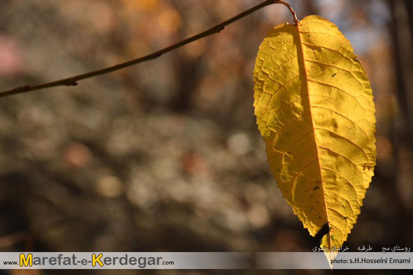 اماکن گردشگری خراسان رضوی اماکن گردشگری خراسان رضوی