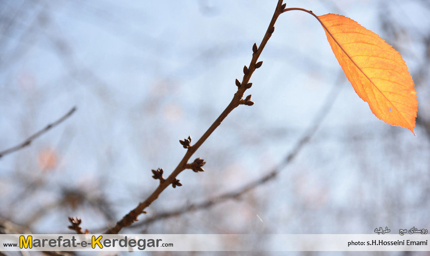 اماکن گردشگری خراسان رضوی اماکن گردشگری خراسان رضوی