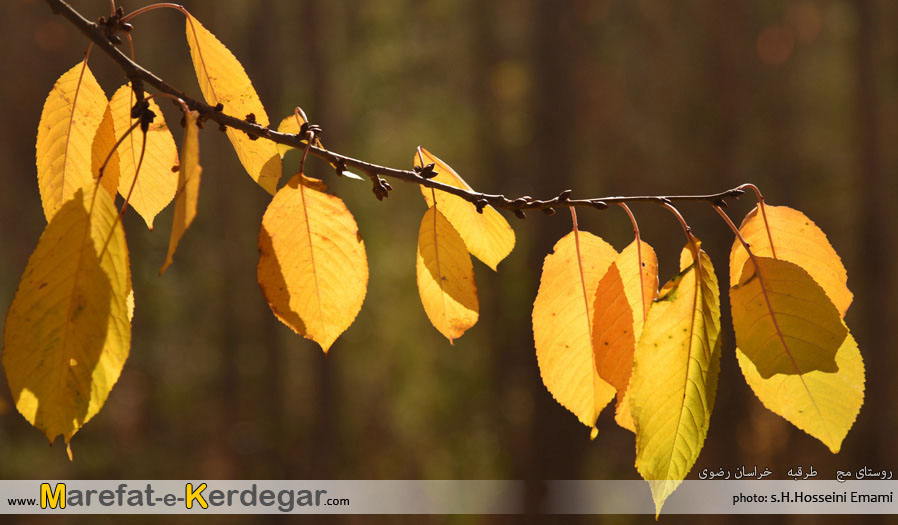 اماکن گردشگری استان خراسان رضوی اماکن گردشگری استان خراسان رضوی