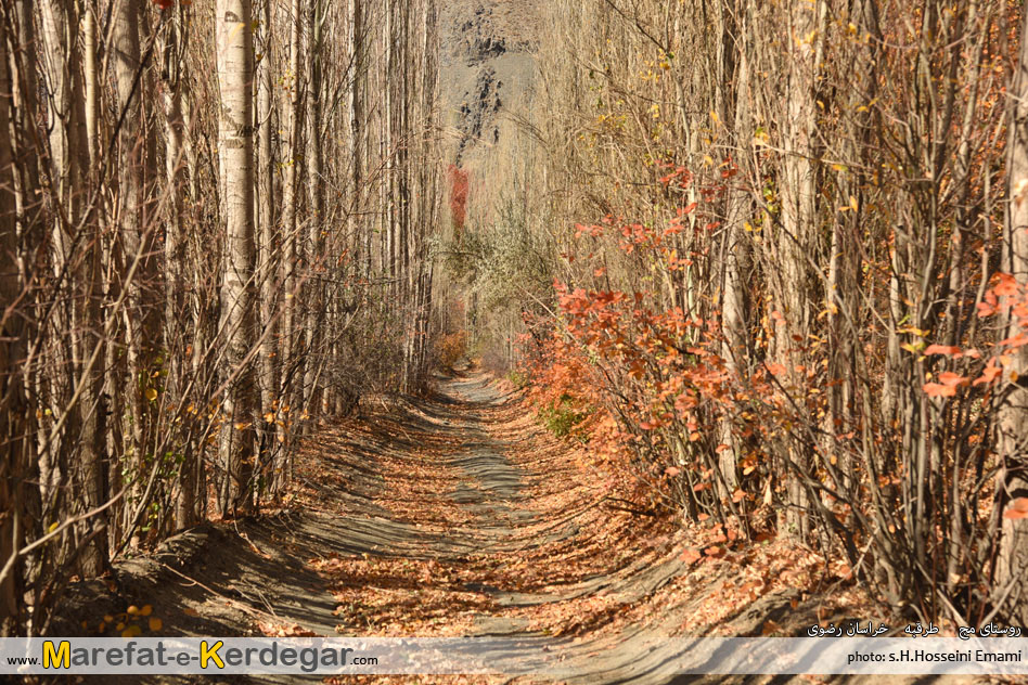 گردشگری استان خراسان رضوی گردشگری استان خراسان رضوی