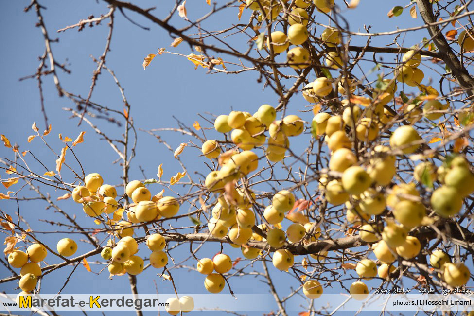 جاذبه های گردشگری خراسان رضوی