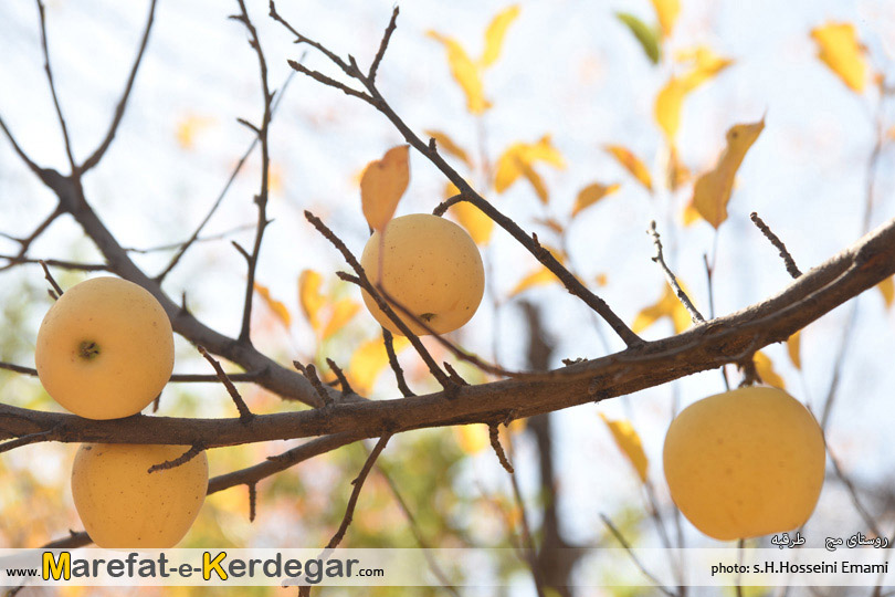 جاذبه های گردشگری خراسان رضوی جاذبه های گردشگری خراسان رضوی