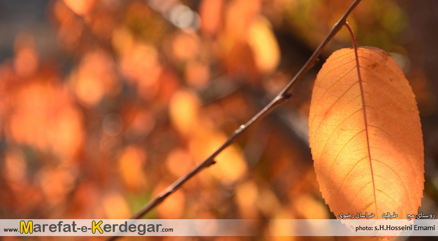 جاذبه های گردشگری استان خراسان رضوی جاذبه های گردشگری استان خراسان رضوی