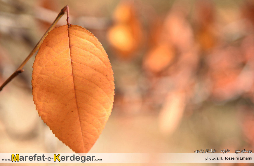 مکان های دیدنی استان خراسان رضوی مکان های دیدنی استان خراسان رضوی