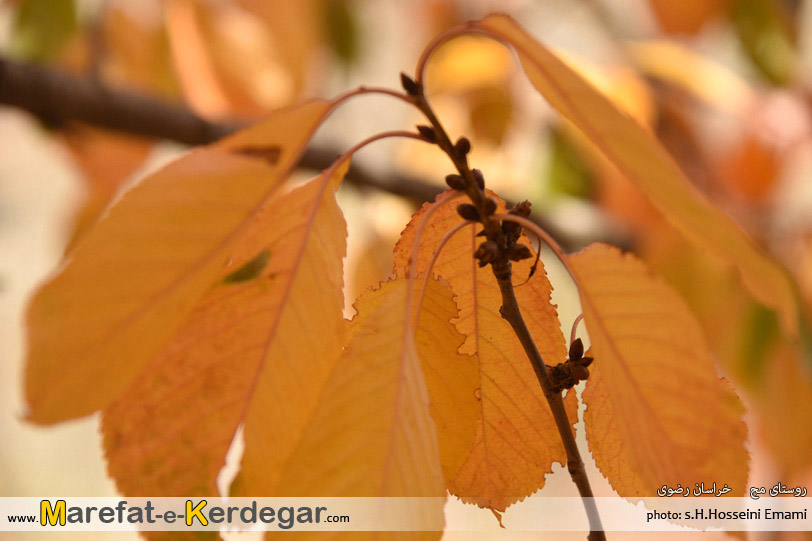 مکان های دیدنی خراسان رضوی مکان های دیدنی خراسان رضوی