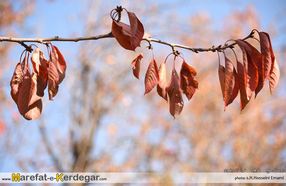 طبیعت استان خراسان رضوی طبیعت استان خراسان رضوی