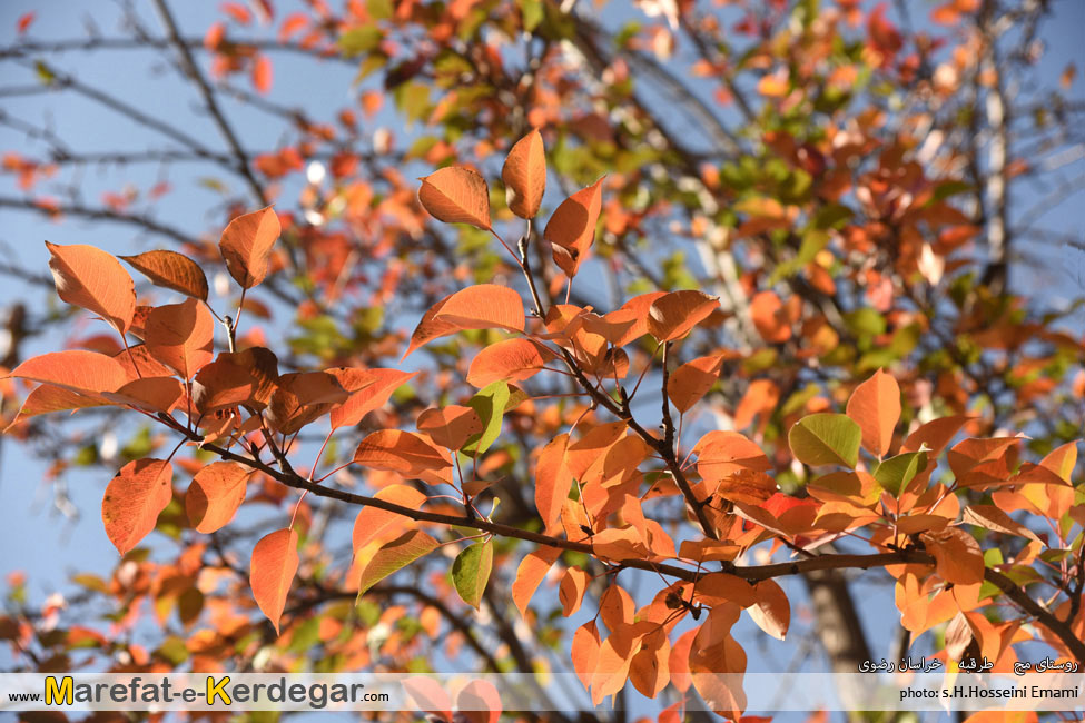 طبیعت استان خراسان رضوی طبیعت استان خراسان رضوی