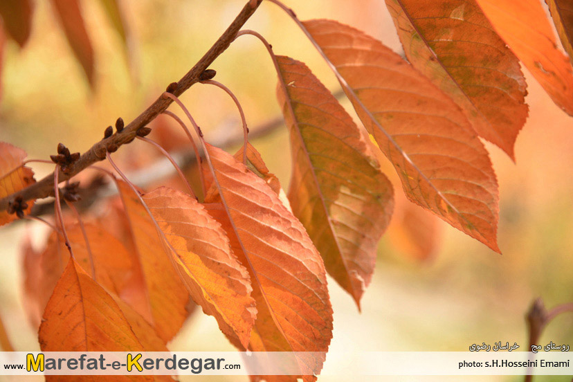 جاذبه های طبیعی استان خراسان رضوی جاذبه های طبیعی استان خراسان رضوی