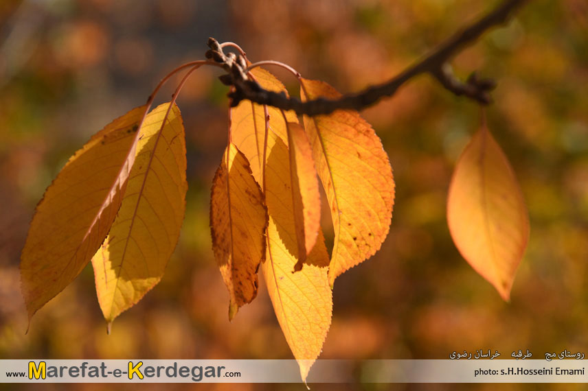 جاذبه های طبیعی استان خراسان رضوی جاذبه های طبیعی استان خراسان رضوی