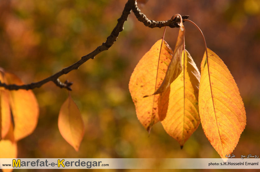 جاذبه های طبیعی خراسان رضوی جاذبه های طبیعی خراسان رضوی