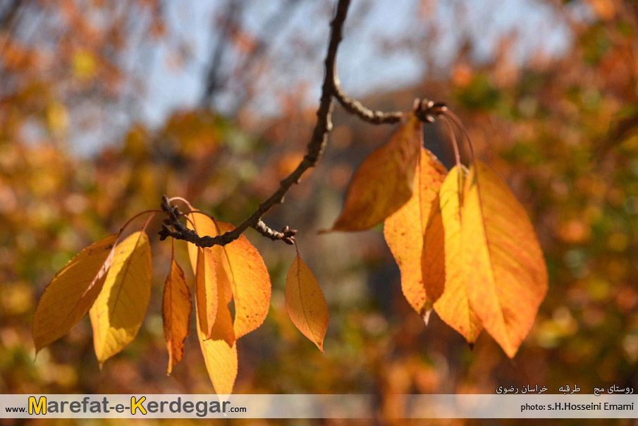 جاذبه های طبیعی خراسان رضوی جاذبه های طبیعی خراسان رضوی