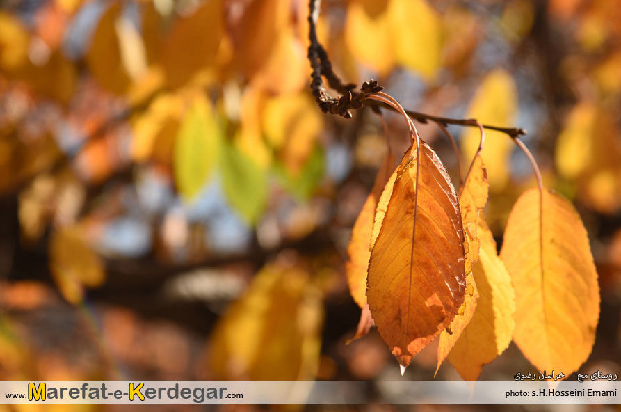 جاهای دیدنی خراسان رضوی جاهای دیدنی خراسان رضوی