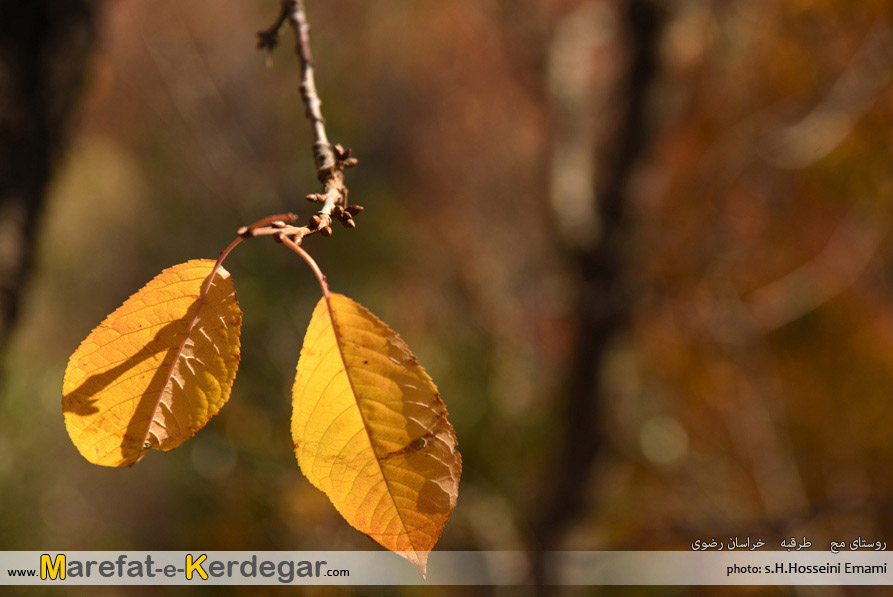 جاهای دیدنی خراسان رضوی جاهای دیدنی خراسان رضوی