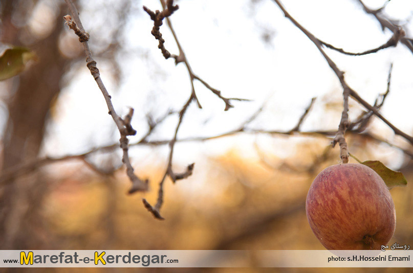 اماکن توریستی استان خراسان رضوی اماکن توریستی استان خراسان رضوی