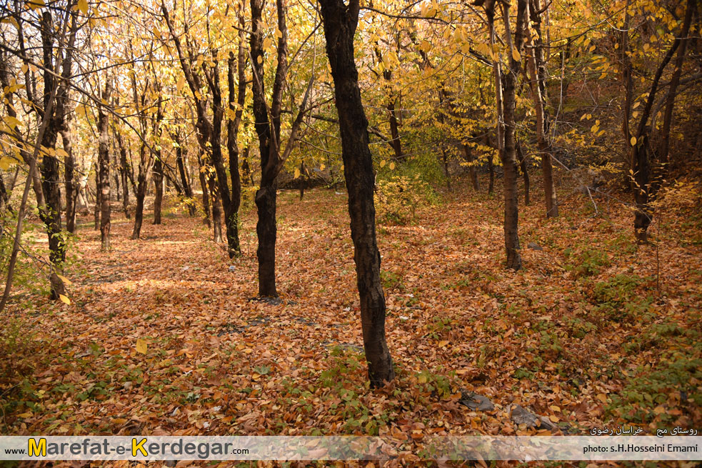 اماکن توریستی خراسان رضوی اماکن توریستی خراسان رضوی