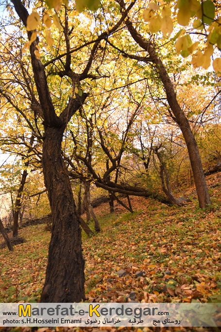 جاذبه های طبیعی ایران جاذبه های طبیعی ایران