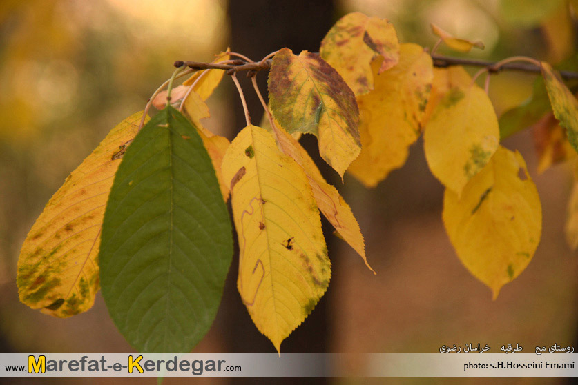 جاذبه های طبیعی ایران جاذبه های طبیعی ایران