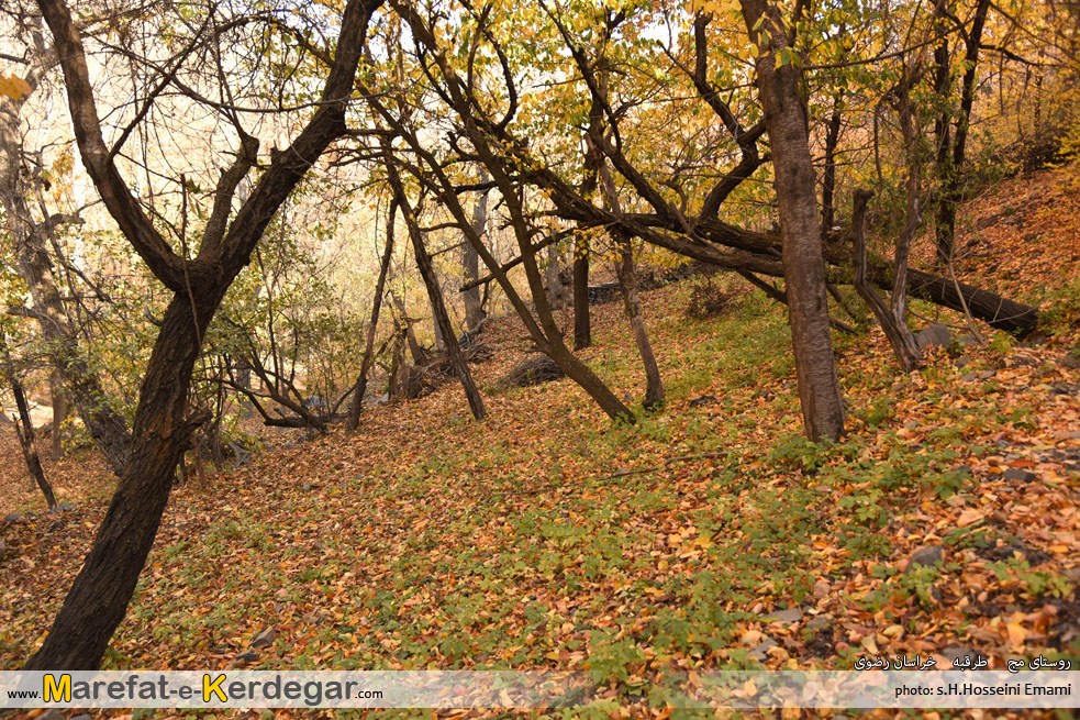 دره مج دره مج