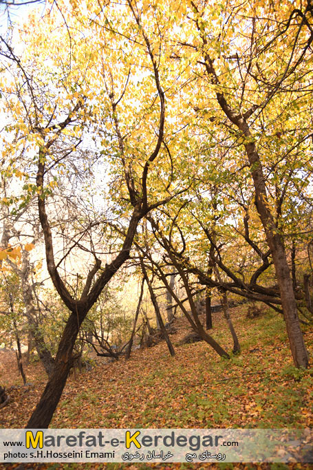 دره روستای مج