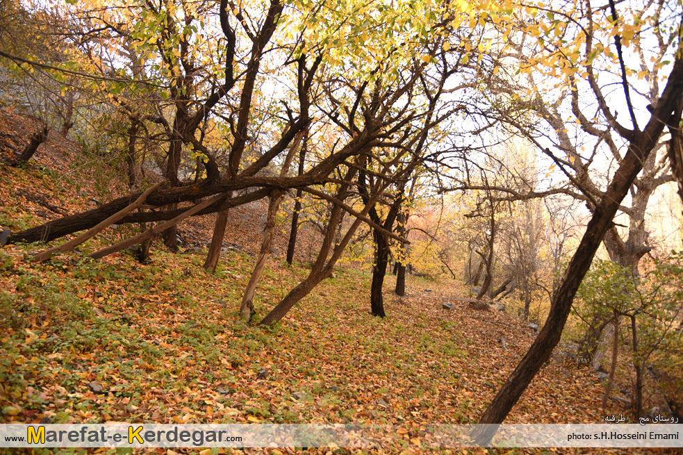 دره روستای مج دره روستای مج