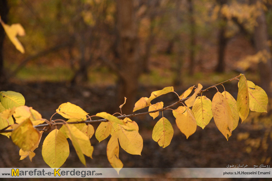 جاذبه های گردشگری ایران جاذبه های گردشگری ایران