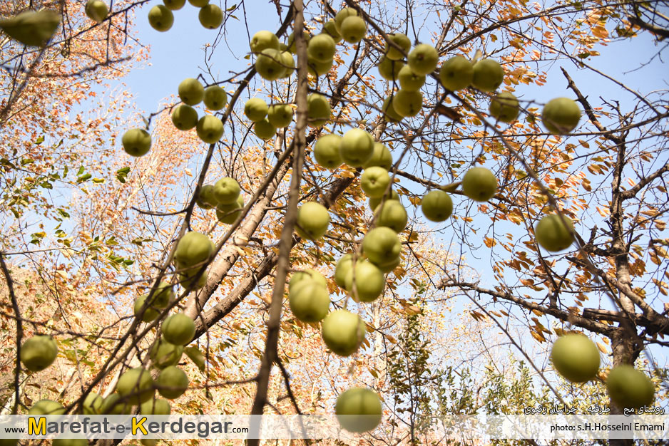 ایران گردی ایران گردی