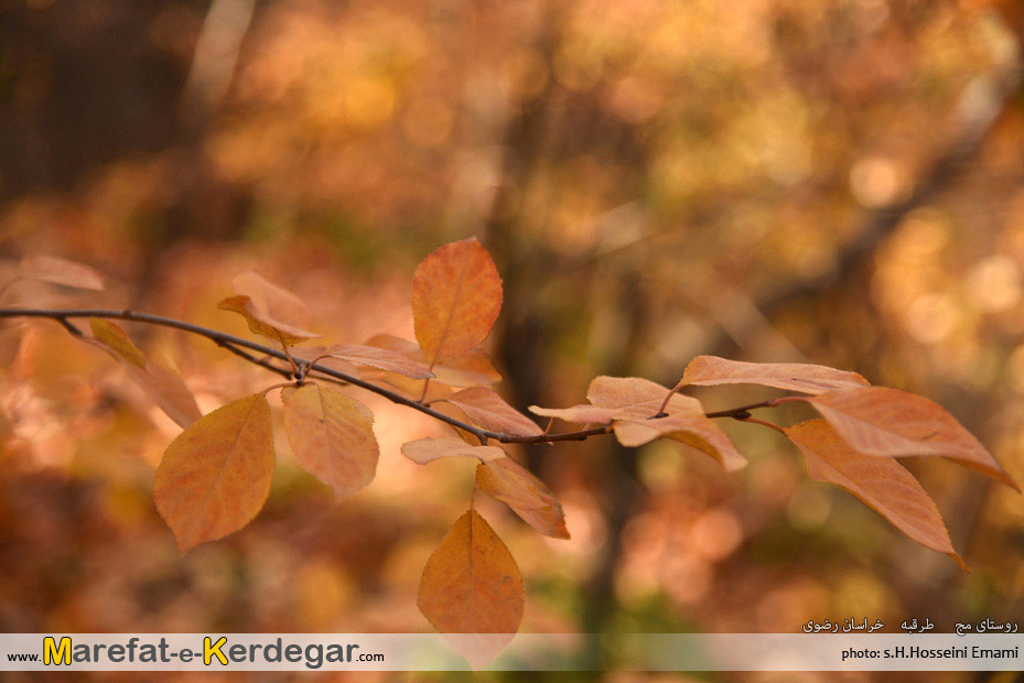 خراسان گردی خراسان گردی