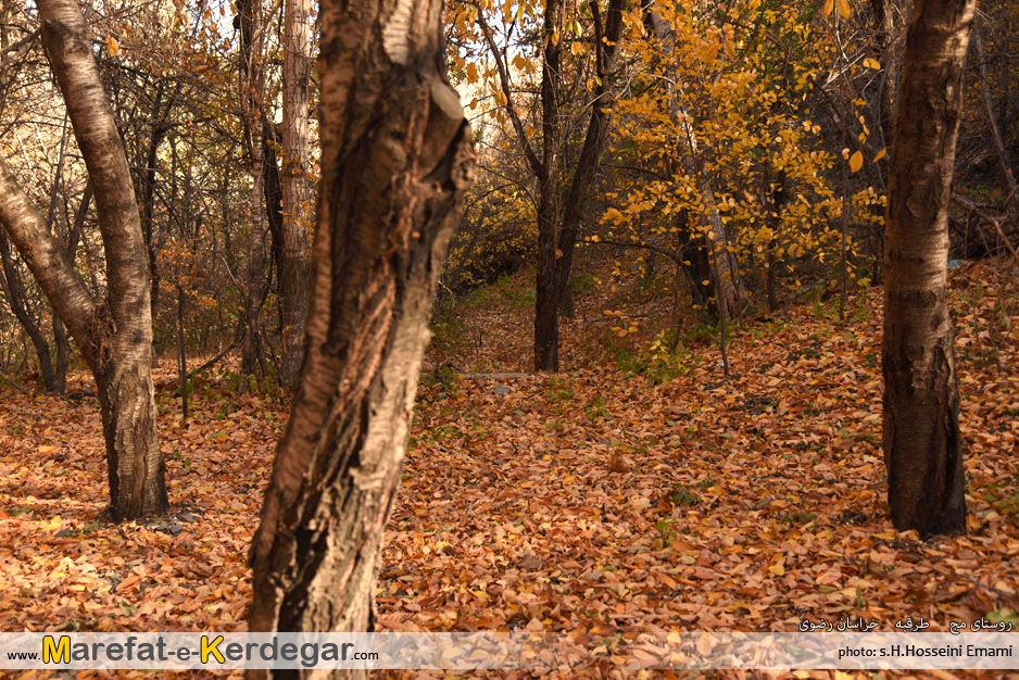 مناطق گردشگری خراسان رضوی مناطق گردشگری خراسان رضوی
