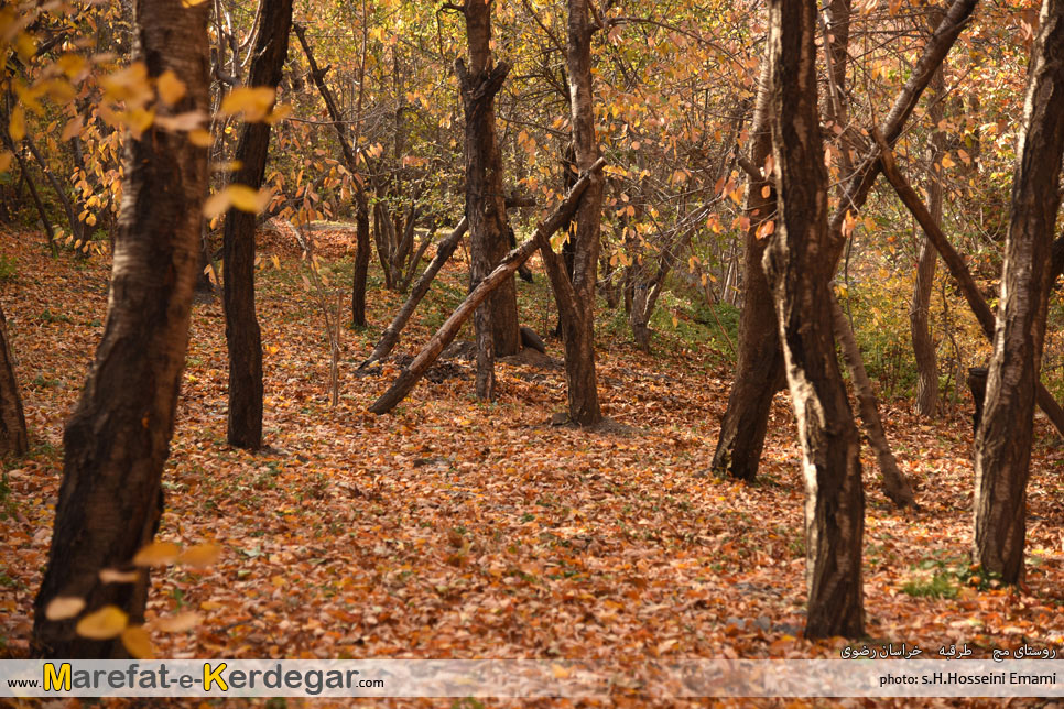 مناطق گردشگری خراسان رضوی مناطق گردشگری خراسان رضوی