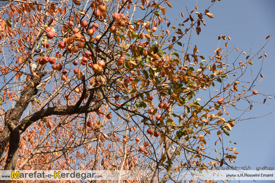 مناطق گردشگری استان خراسان رضوی مناطق گردشگری استان خراسان رضوی