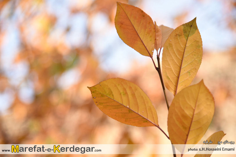 مناطق گردشگری ایران مناطق گردشگری ایران