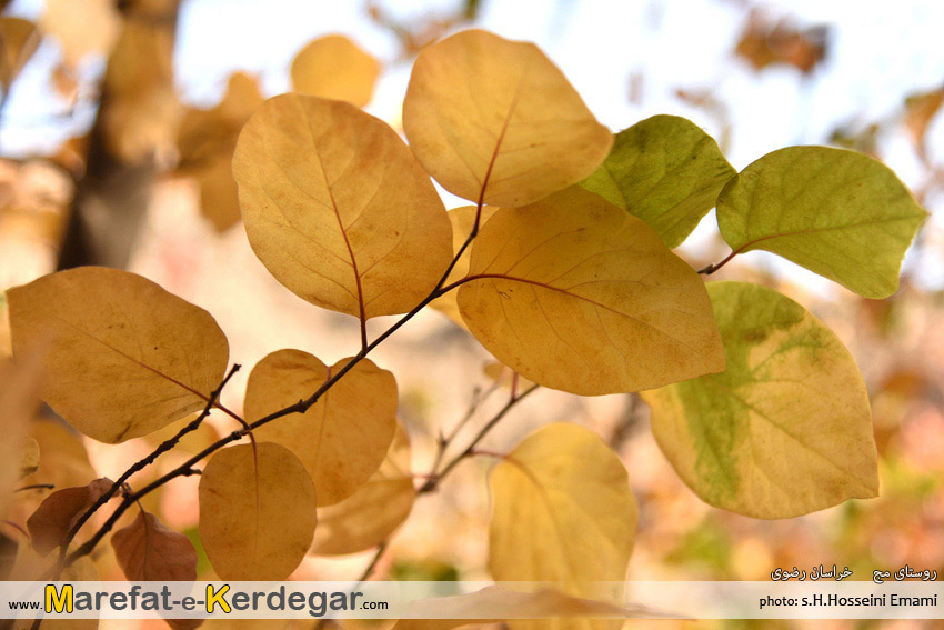 مناطق گردشگری طرقبه مناطق گردشگری طرقبه