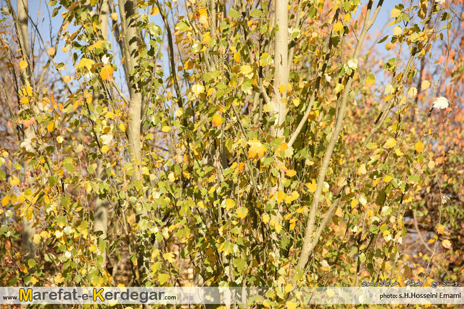 مناطق گردشگری طرقبه مناطق گردشگری طرقبه