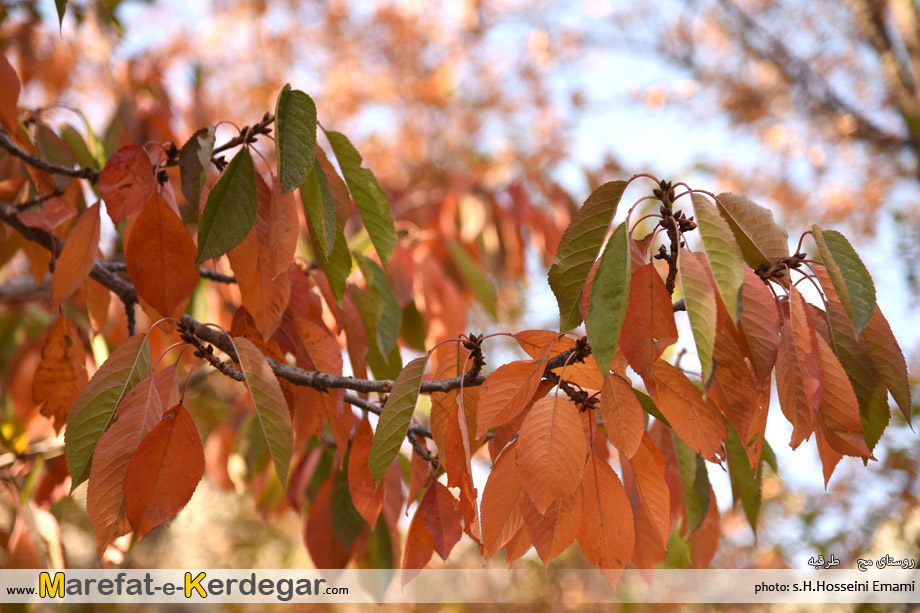 مناطق گردشگری مشهد مناطق گردشگری مشهد