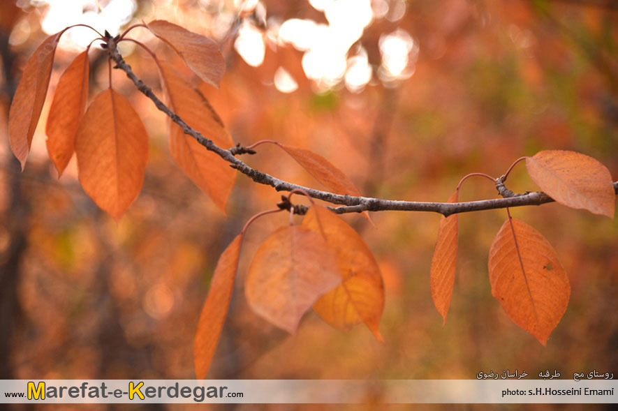 مناطق گردشگری مشهد مناطق گردشگری مشهد