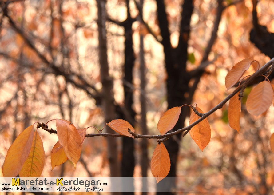 جاذبه های توریستی مشهد جاذبه های توریستی مشهد