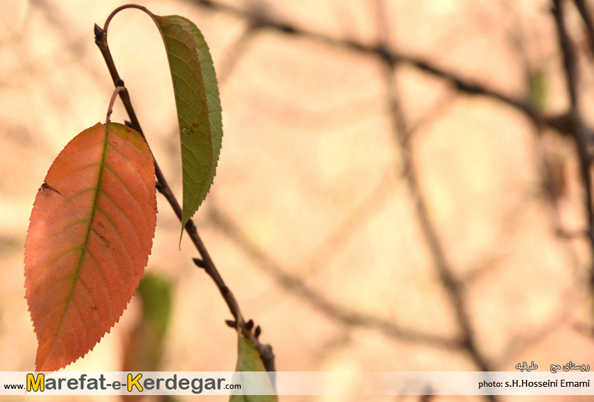 جاذبه های توریستی مشهد جاذبه های توریستی مشهد