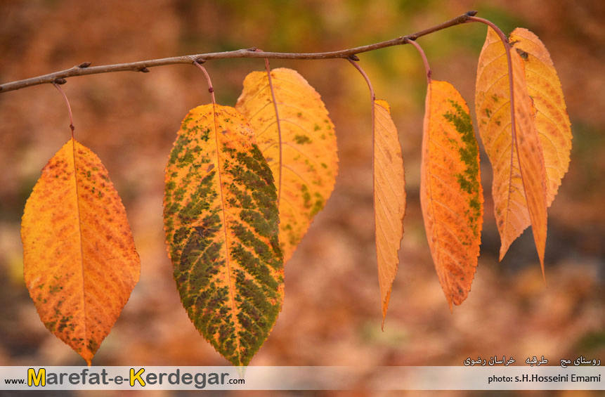 ییلاق های اطراف مشهد ییلاق های اطراف مشهد