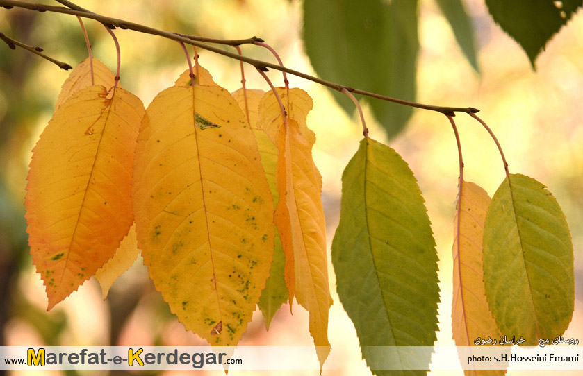 ییلاق های اطراف مشهد ییلاق های اطراف مشهد