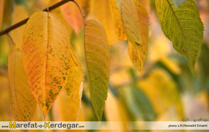 ییلاقات اطراف مشهد ییلاقات اطراف مشهد