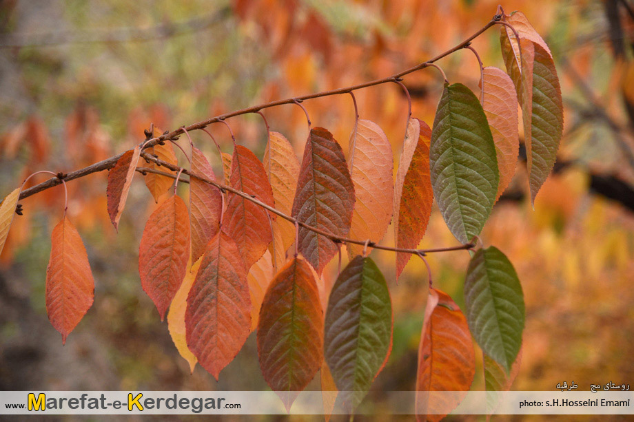 جاذبه های طبیعی طرقبه جاذبه های طبیعی طرقبه