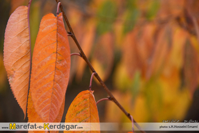 جاذبه های طبیعی طرقبه جاذبه های طبیعی طرقبه