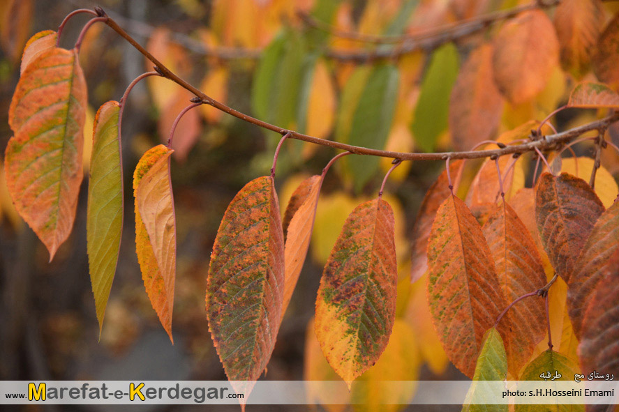 جاذبه های توریستی طرقبه جاذبه های توریستی طرقبه