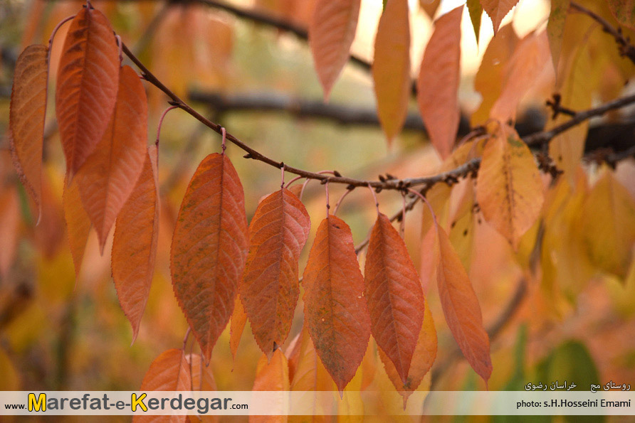 جاهای دیدنی طرقبه جاهای دیدنی طرقبه