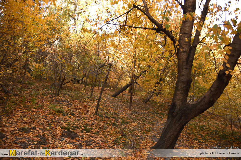 مناطق دیدنی طرقبه مناطق دیدنی طرقبه