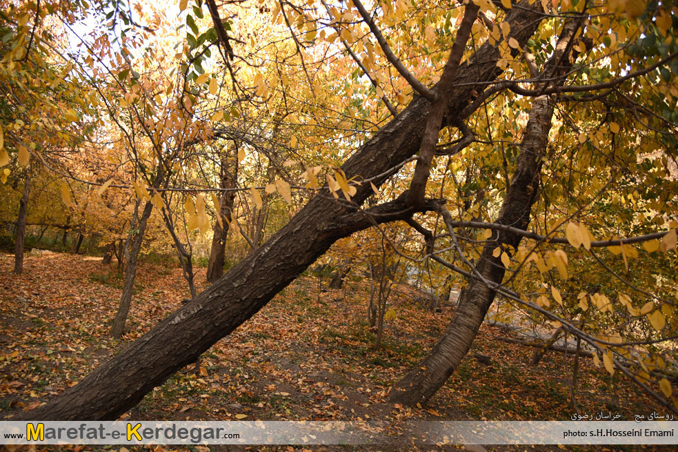 اماکن گردشگری طرقبه اماکن گردشگری طرقبه