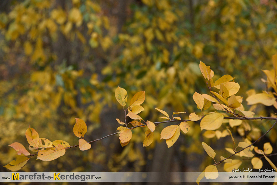 گردشگری طرقبه گردشگری طرقبه